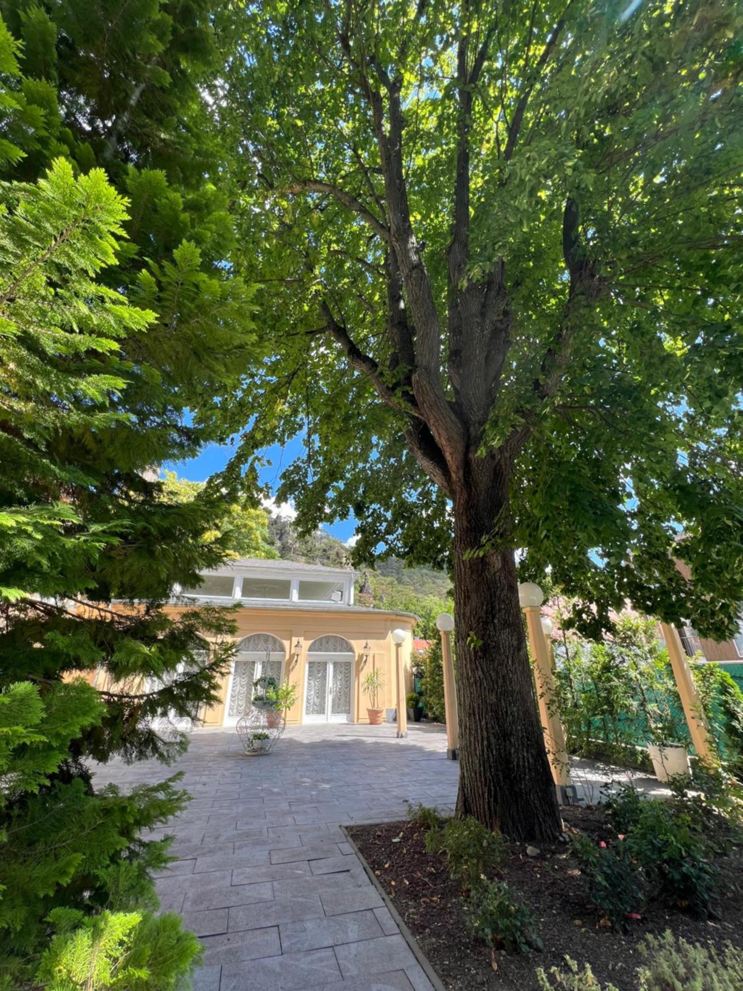 Wienerwald Residenz Баден Екстериор снимка